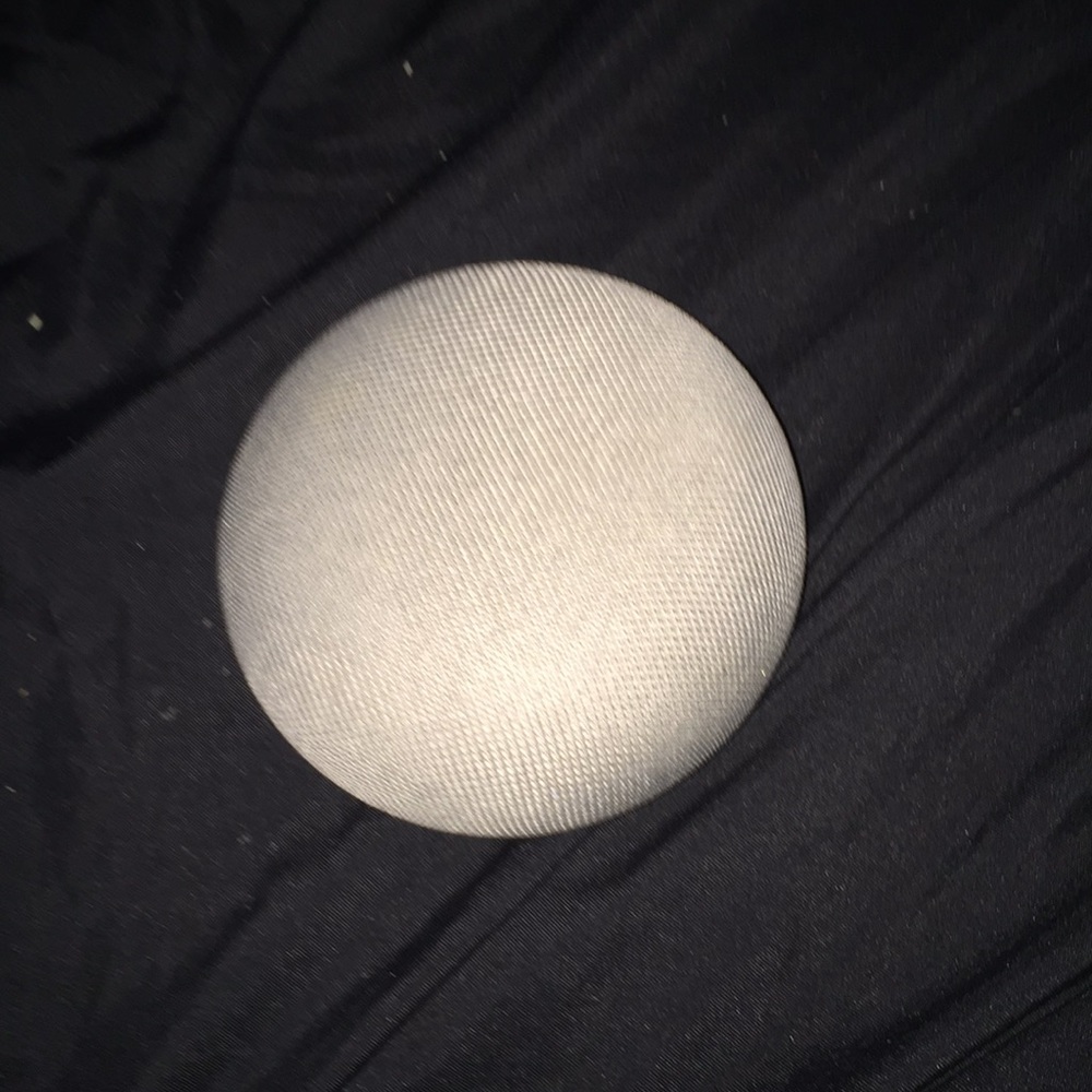 Google home (white)